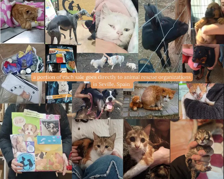 Animals receiving care through local rescue work in Seville, Spain
